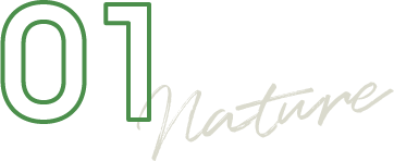 01 NAture