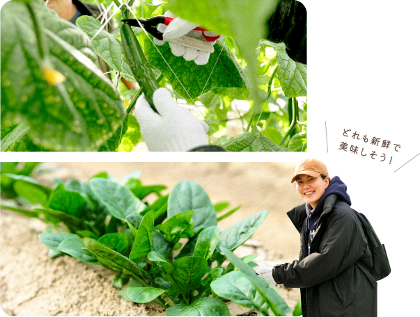 どれも新鮮でおいしそう！