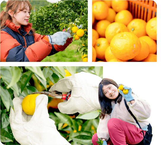 たくさん取れました