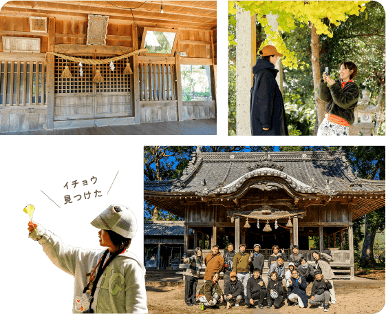 イチョウ見つけた